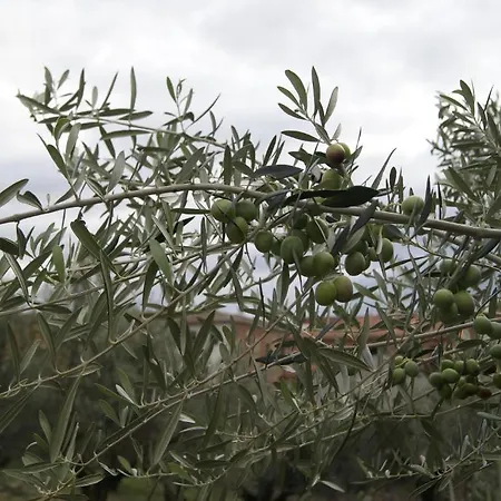 La De Konukevi Oropesa
